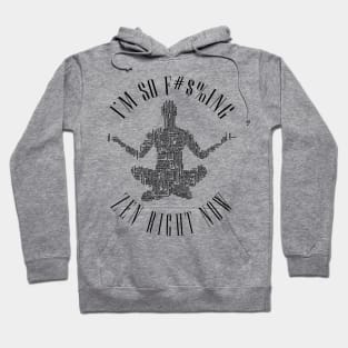 I'M SO F#$%ING ZEN RIGHT NOW. Hoodie